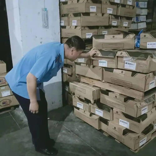 九原區市場監督管理局強化食品流通監管，專項檢查日用雜品批發環節